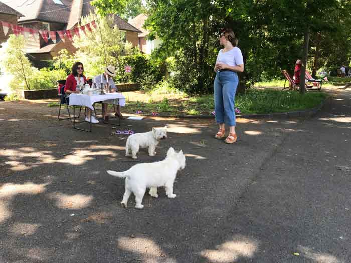 Two women, two dogs